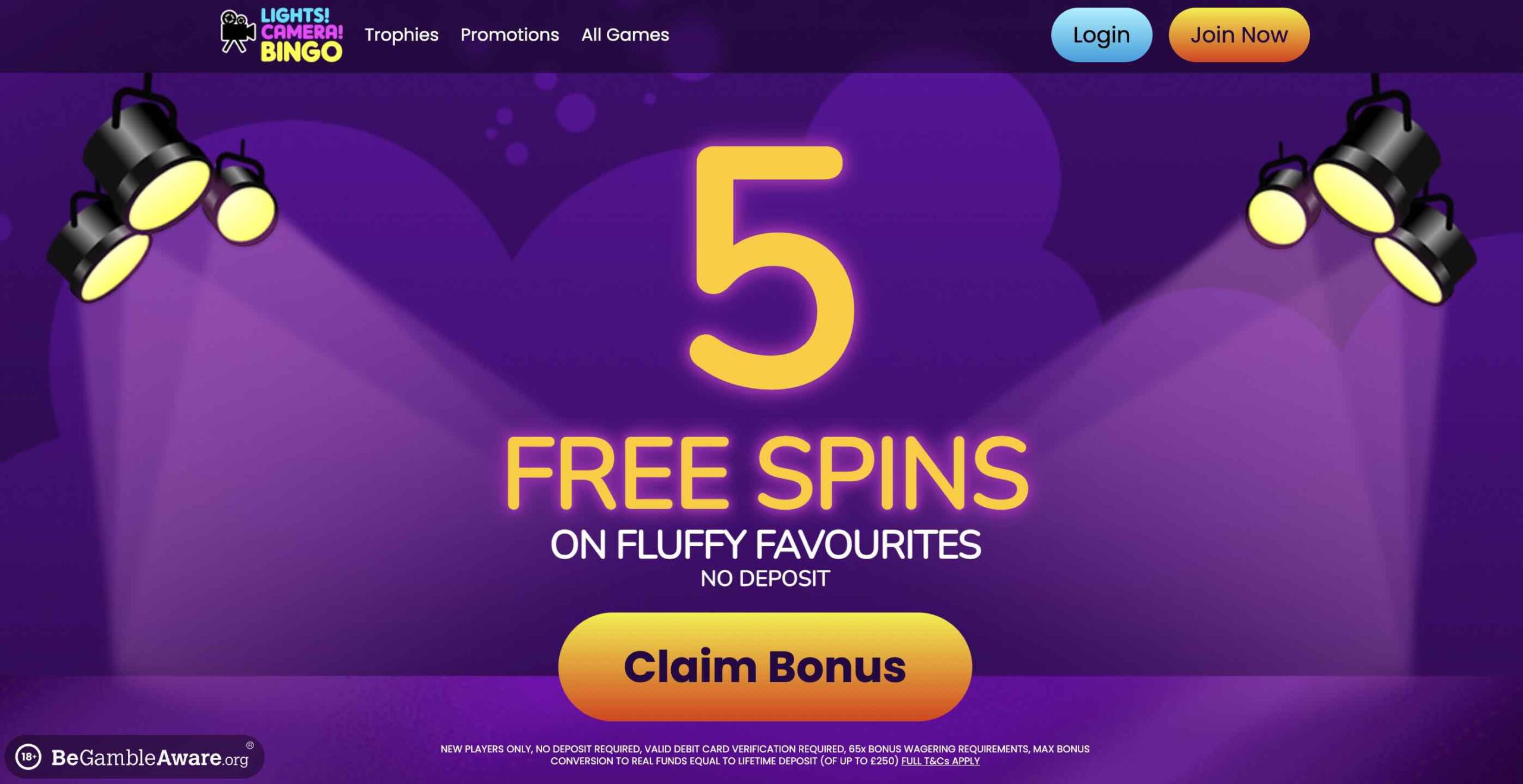 bingo free bonus no deposit required